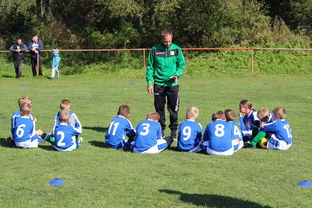 开云官网app-中国篮球教练员战术创新能力培养及培训机制探讨，篮球教练员素养